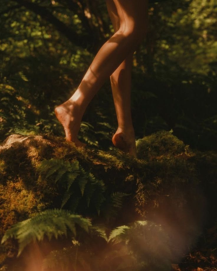The Tropical Escape