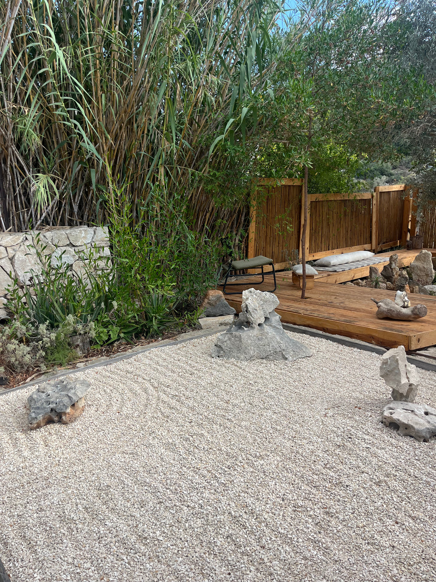 Zen In Ein Hod